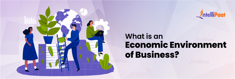 What is an Economic Environment of Business?