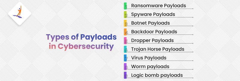 Types of Payloads in Cybersecurity