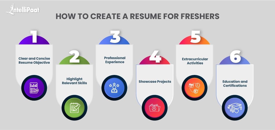 How to Create a Resume for Freshers