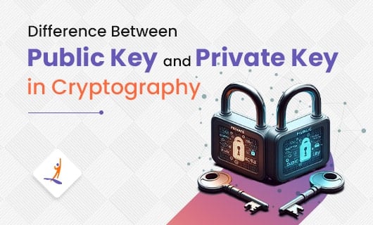 Difference-Between-Public-Key-and-Private-Key-in-Cryptography-small.jpg