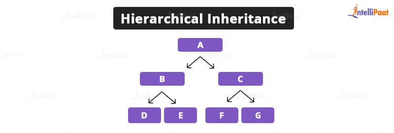 C++ Hierarchical Inheritance