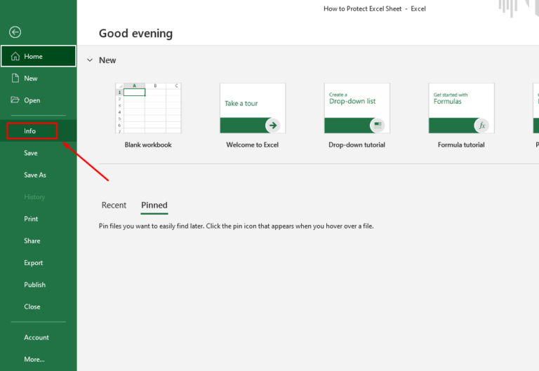 How To Protect Excel Sheet With Password Intellipaat 5505