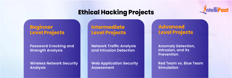Ethical Hacking Projects