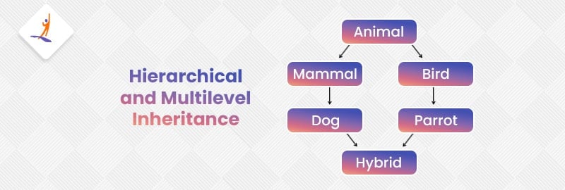 Combination of Hierarchical Inheritance and Multilevel Inheritance
