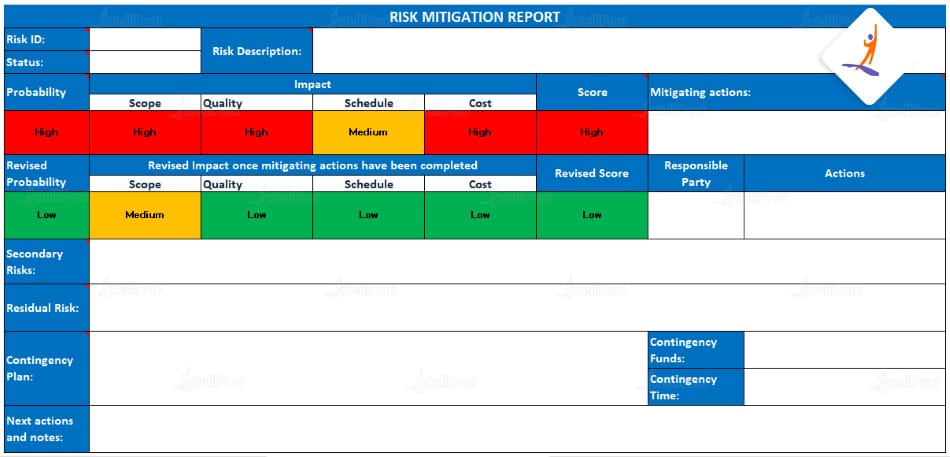 Risk Reports Format