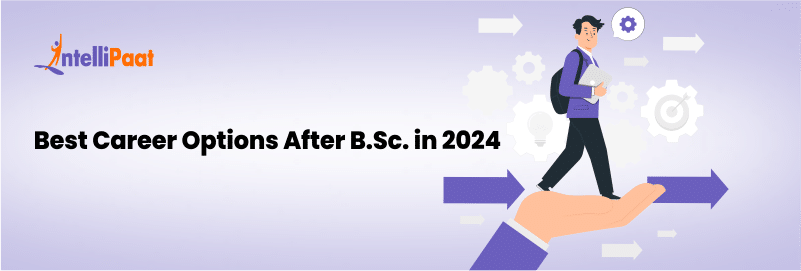 Best Career Options After B.Sc in 2024