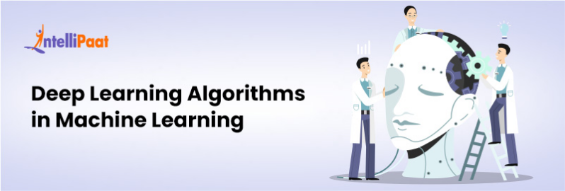 12 Best Deep Learning Algorithms to know in 2024 | Intellipaat