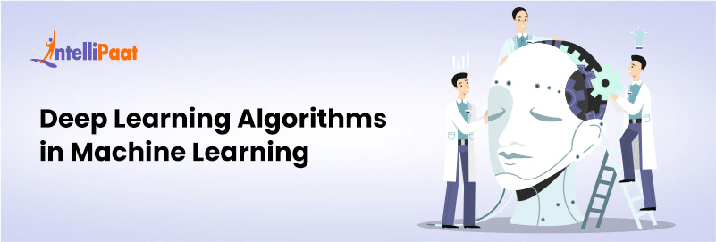 Deep Learning Algorithms - The Complete Guide