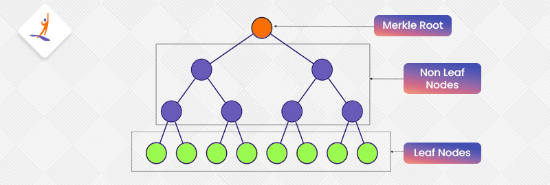 What is Merkle Tree in Blockchain