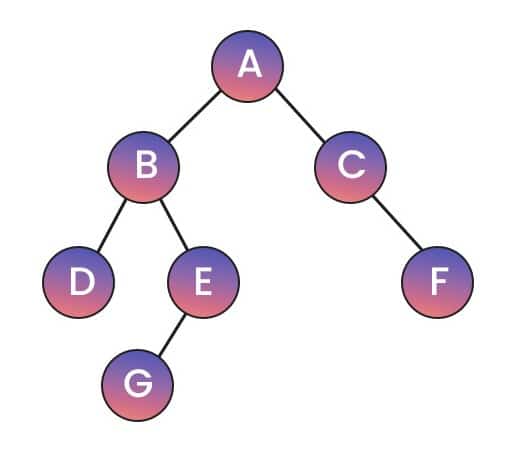Height of tree data structure