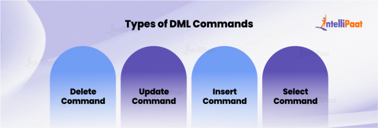 What are DDL, and DML Commands in Structured Query Language?