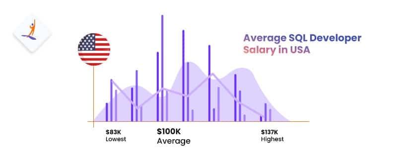 Salary of SQL Developer in USA - How to Become SQL Developer - Intellipaat