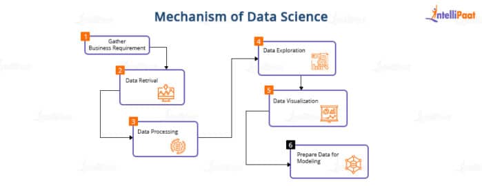 Data Science vs Machine Learning: Key Differences [2025]