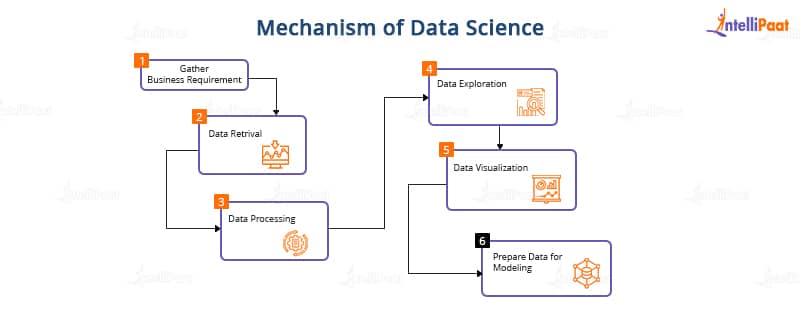 Mechanism  of Data Science -Data Science vs. Machine Learning-Intellupaat