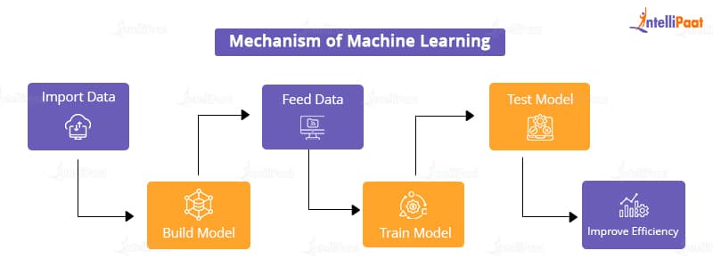 Mechanism of Machine Learning - Data Science vs. Machine Learning - Intellipaat