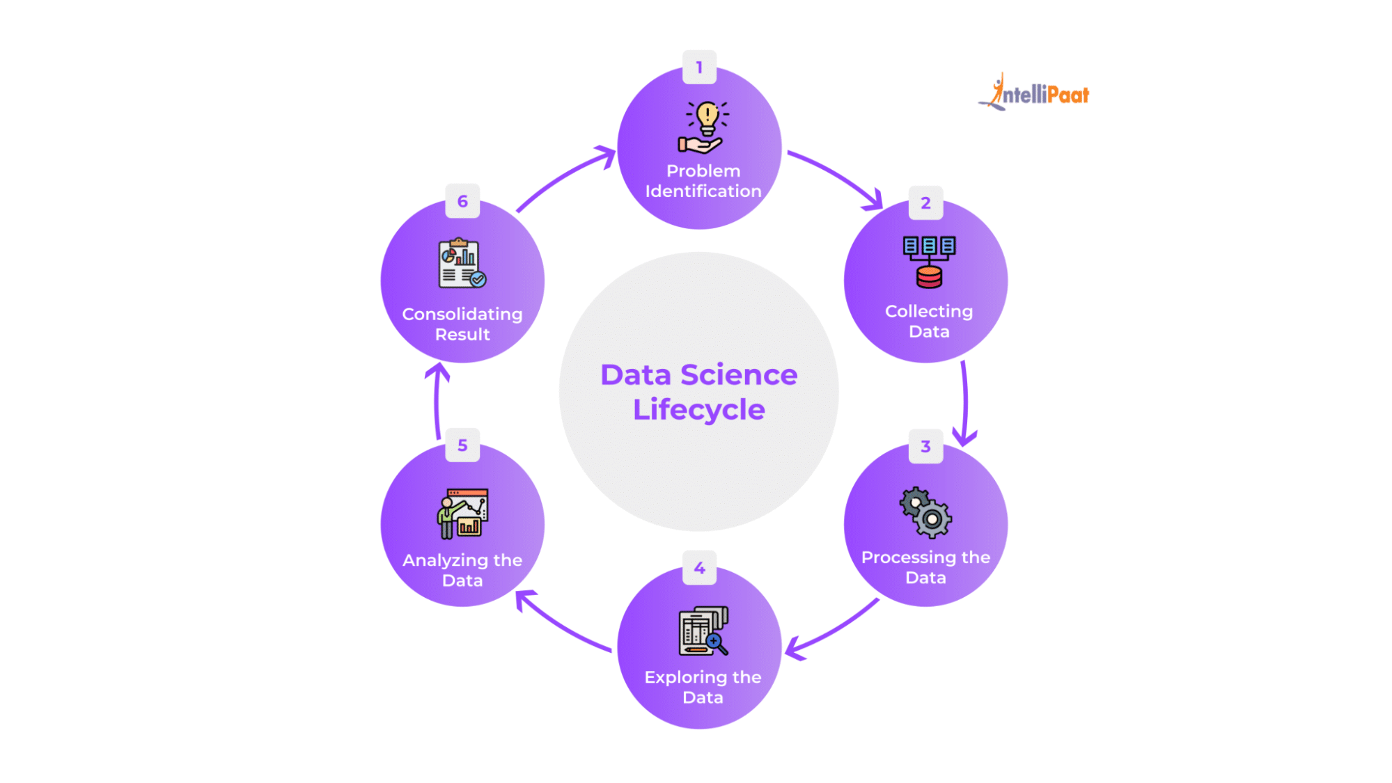 Phases of the Data Science Lifecycle
