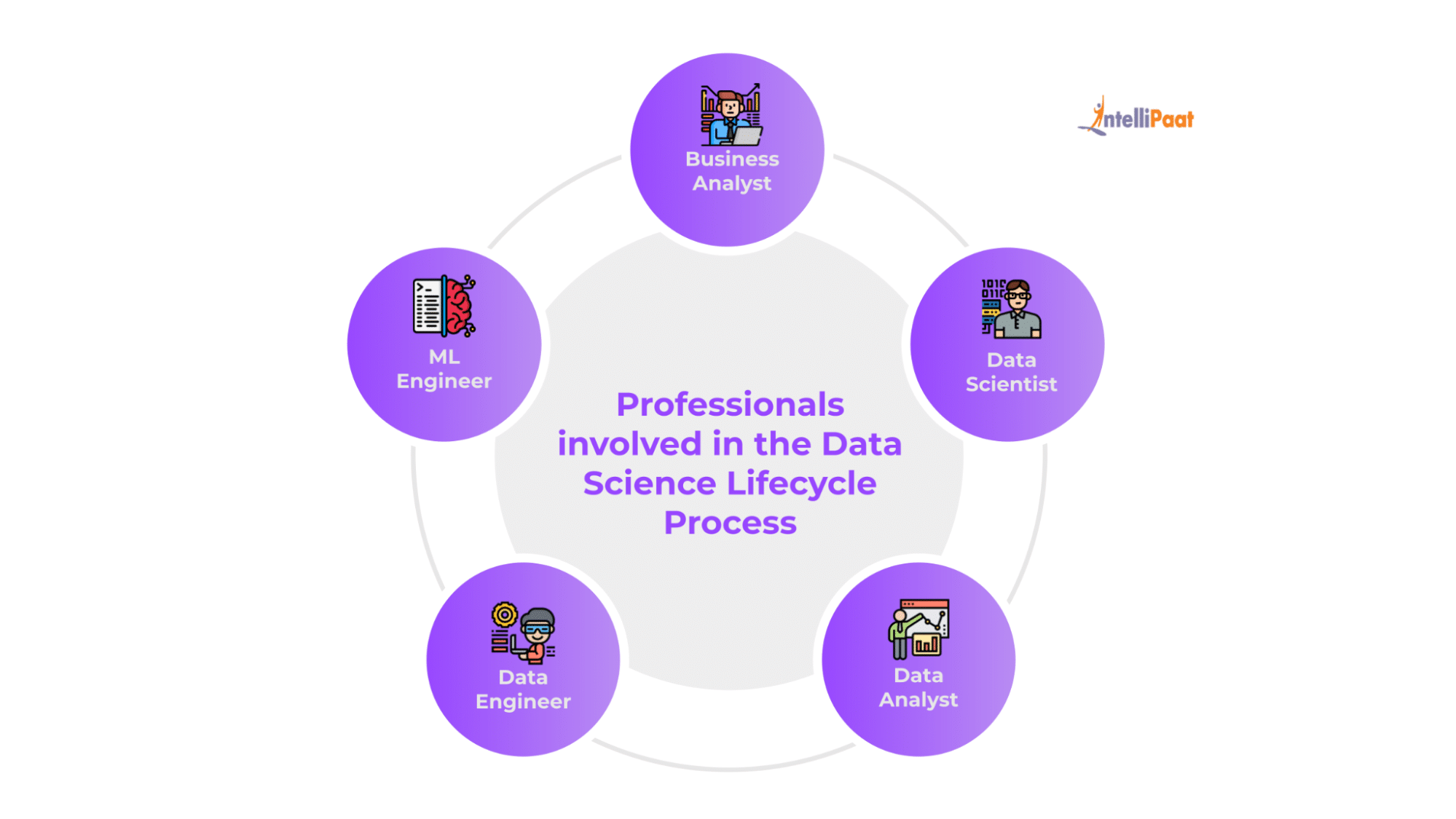 Professionals Involved in the Data Science Lifecycle Process