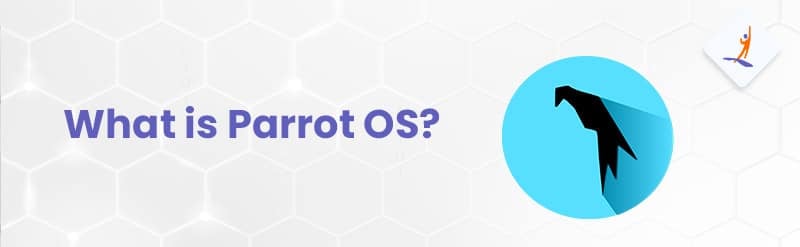 What is Parrot OS?