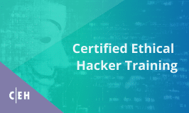 Ethical Hacking Course - CEH v12 Certification
