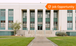 Software Testing Bootcamp