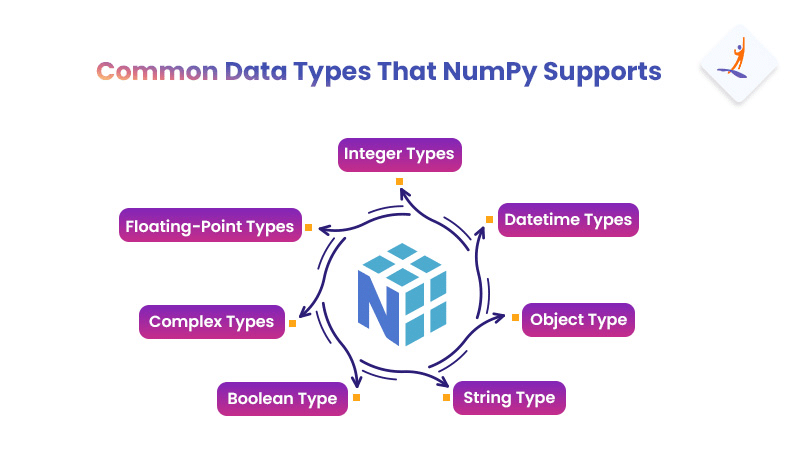 Common Data Types That NumPy Supports