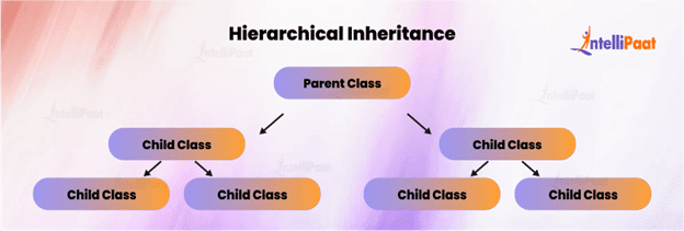 Hierarchical Inheritance