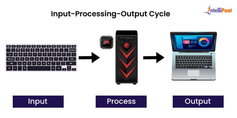 IPO Cycle Explained: Key Stages and Processes