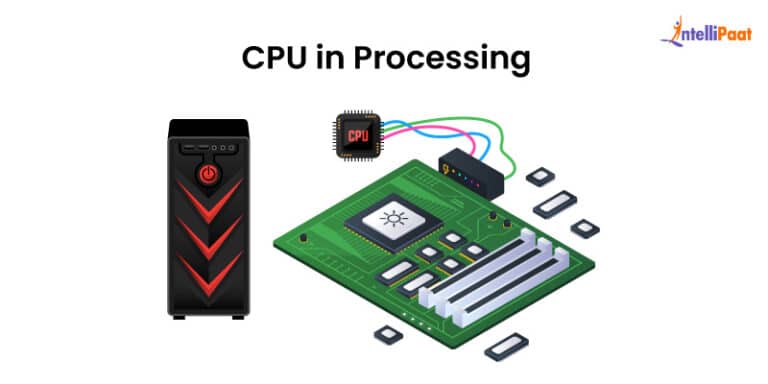 IPO Cycle Explained: Key Stages and Processes