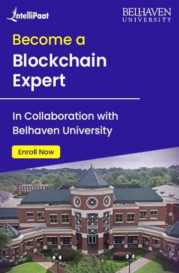 Blockchain Expert