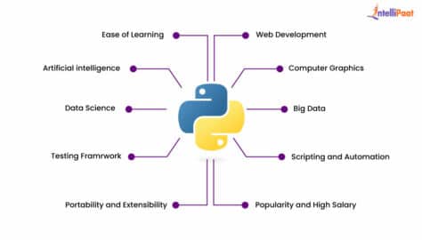 Top 11 Python Trends to Watch Out for in 2025