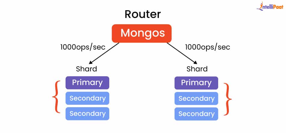 mern_routing