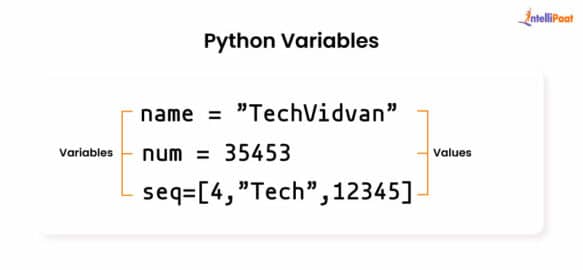 Python Variables - Constant, Local and Global Variables