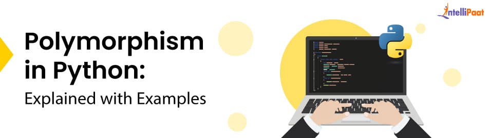 Polymorphism in Python: Types and Examples with Code