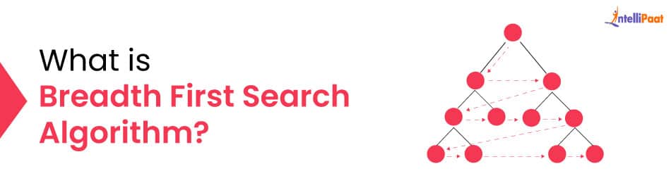 What is Breadth First Search Algorithm?