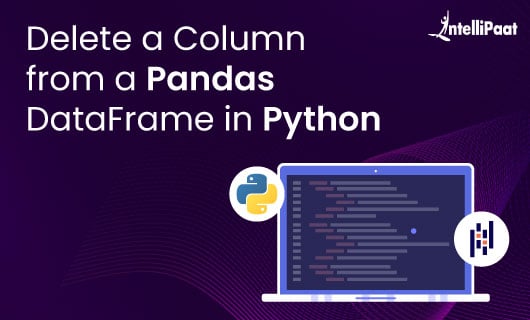 Delete a Column from a Pandas DataFrame in Python Blog