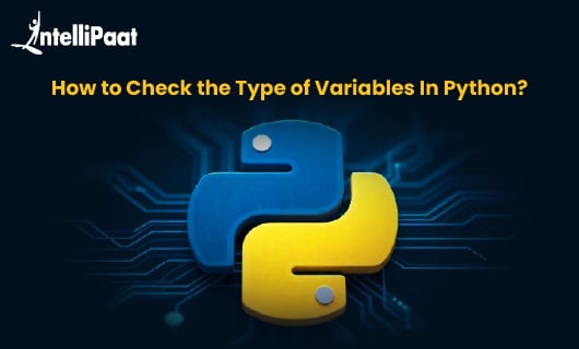 How to Check the Type of Variables in Python Small