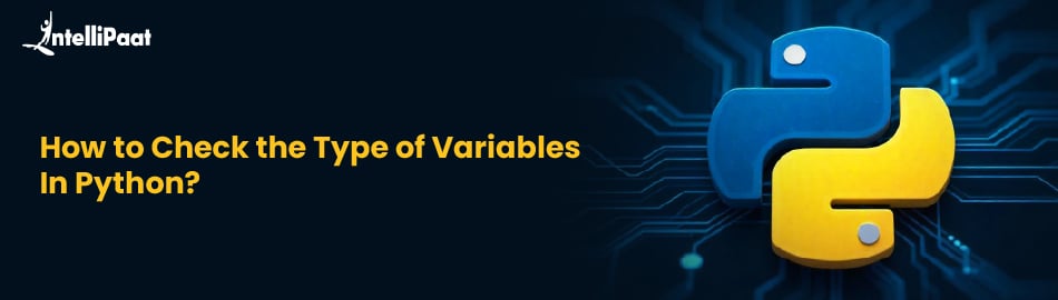 How to Check the Type of Variables in Python?