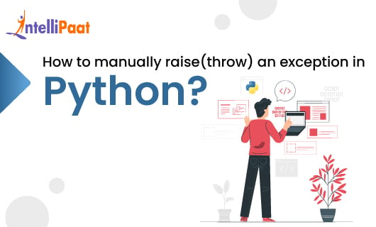 Manually Raise or Throw an Exception in Python Blog