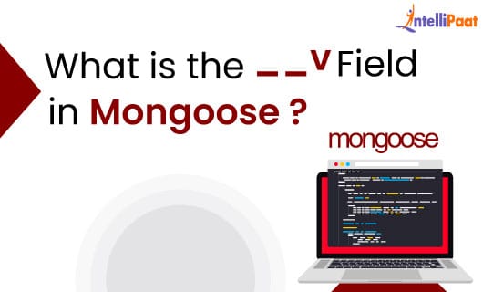 What Is the v Field in Mongoose Category Image