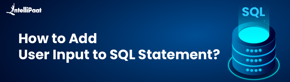 How to Add User Input to SQL Statement?