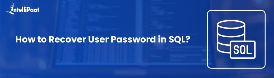 How to Recover User Password in SQL?