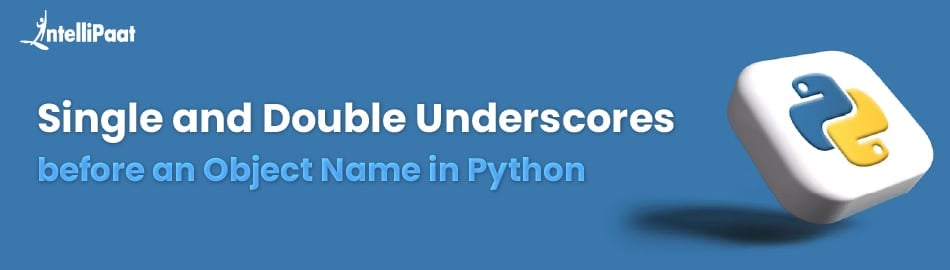 Single and Double Underscores before an Object Name in Python