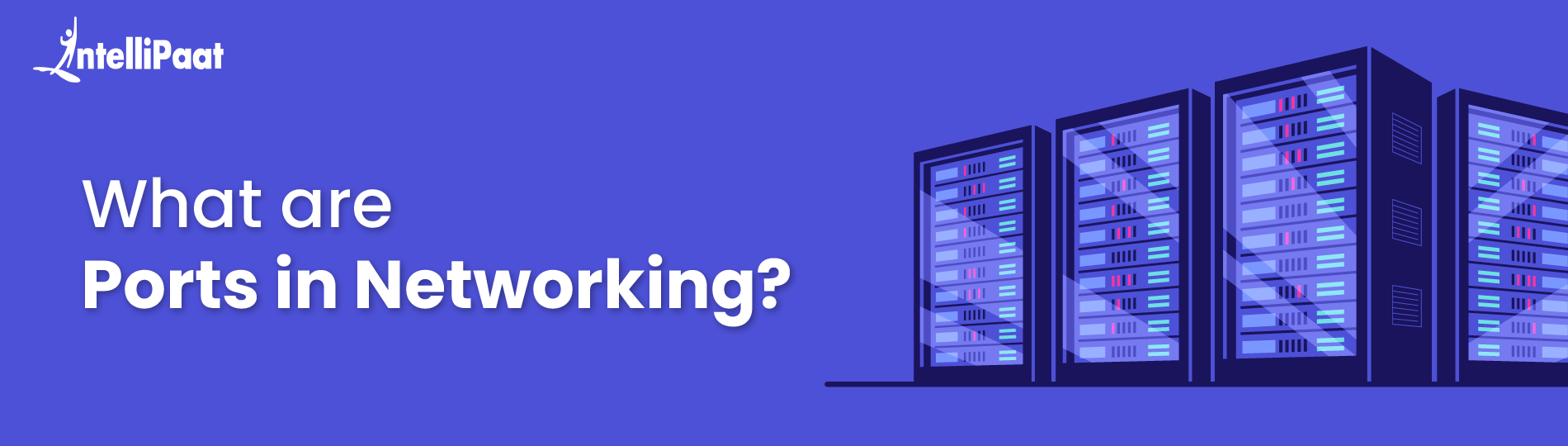 What are Ports in Networking