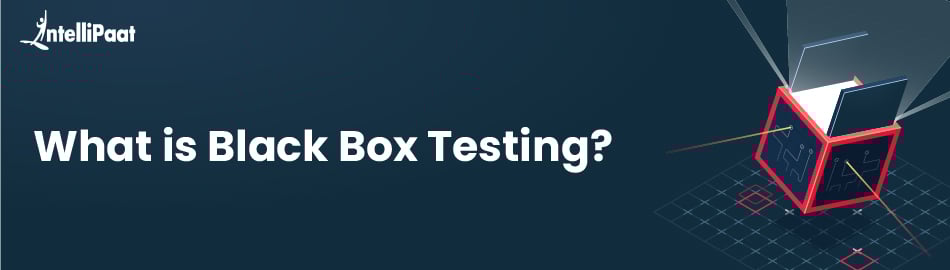 What is Black Box Testing