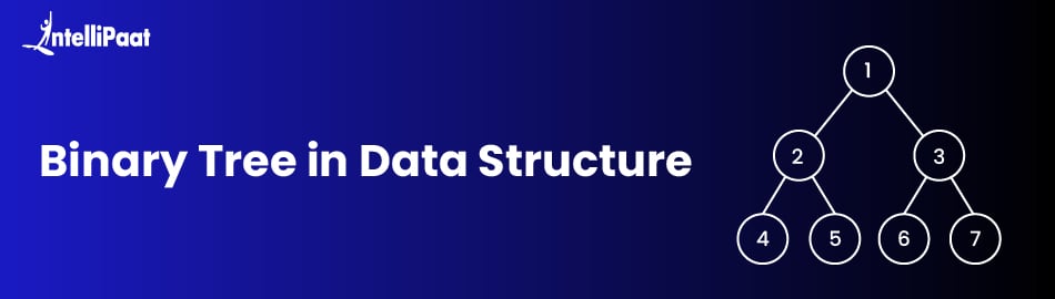 Binary-Tree-in-Data-Structure-FEATURED-IMAGE.jpg
