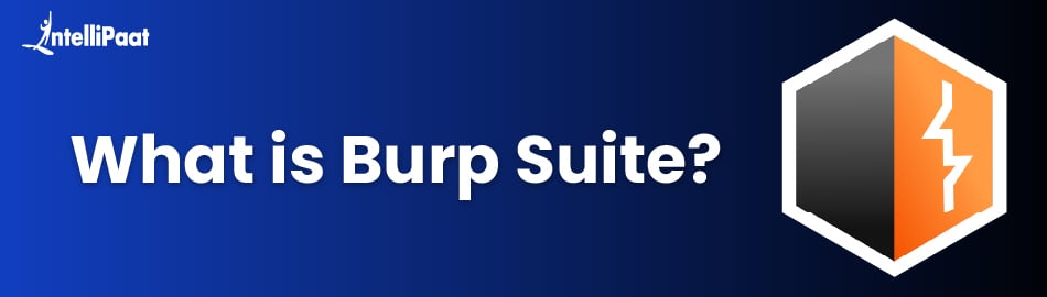 What is Burp Suite?