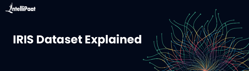 IRIS Dataset Explained