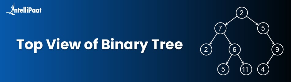 Top-View-of-Binary-Tree.jpg