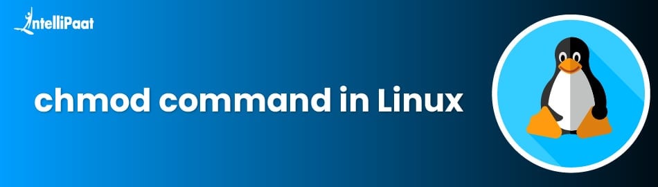chmod-command.jpg
