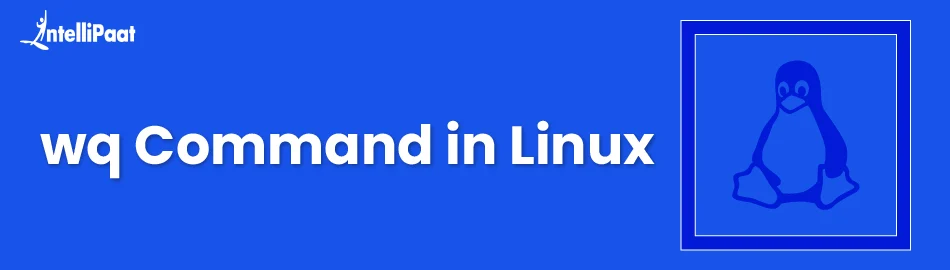 wq-command-in-Linux-Feature-Image.png